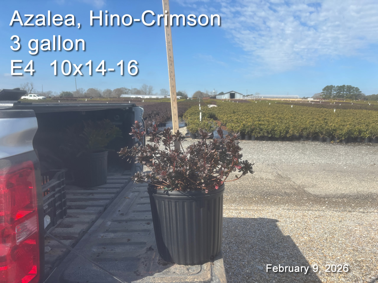 gallery/hc3 e4 feb9.jpg